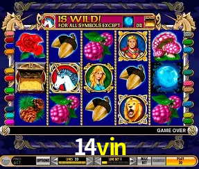 Descubra o Mundo do Cassino Online com 14vin