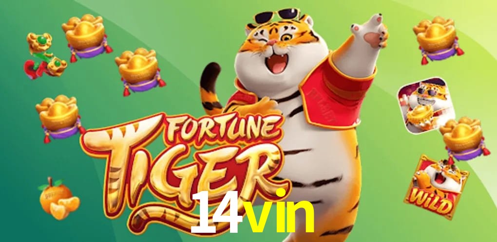 Experiência VIP 14vin