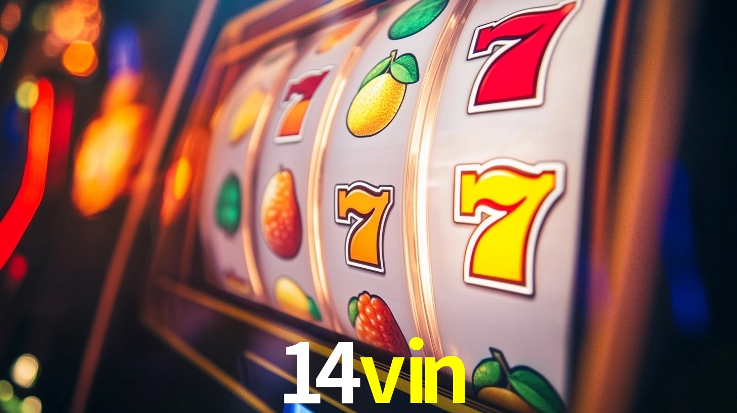 Premium Interface 14vin