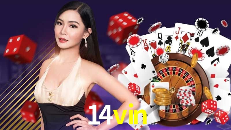Interface Premium 14vin